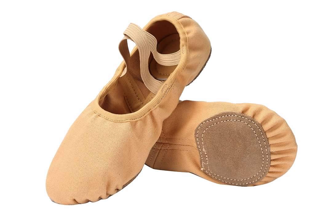 Linodes Dance Shoes for Girls Stretch Canvas Split Sole for Women