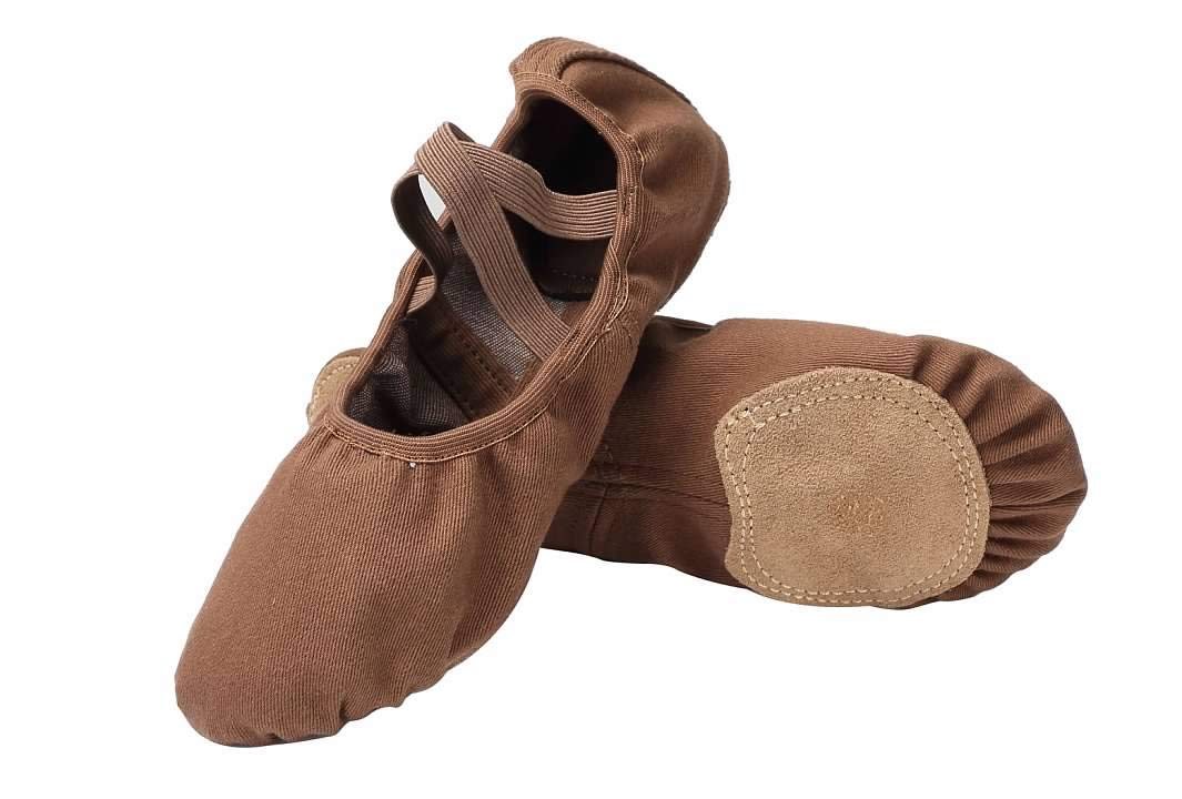 Linodes Dance Shoes for Girls Stretch Canvas Split Sole for Women